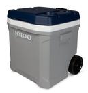 Coolers Comerciais Isolados Igloo Maxcold 40-100 Qt Coolers Comerciais Isolados Igloo Maxcold 40-100 Qt