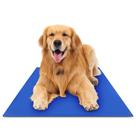 Cooling Pad Green Pet Shop Chillz Gel Mat Gel Mat Gel Gel X-Large para animais de estimação