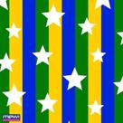 Copa do Mundo TNT Estampado 1,40M Brasil EST RL-10MTS