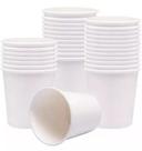 Copo branco biodegradável