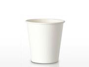 Copo de Papel Biodegradável 200 ml sem Tampa 200 unidades