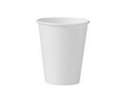 Copo de Papel Biodegradável 240 ml sem Tampa 100 unidades