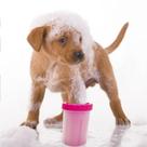 Copo Lava Patas Para Cachorro Silicone