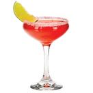 Copos Cocktail Coupe Libbey Perception, 250 ml, conjunto de 12