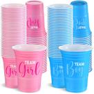 Copos de plástico Norme Gender Reveal Team Boy Team Girl 16 onças x 120