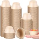 Copos descartáveis de fibra de bagaço Sieral 60mL (500 pacotes)