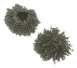 Coque Afro Puff orgânico idêntico ao natural 50 por cento grisalho