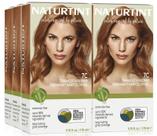 Cor de cabelo Naturtint 7C Terracotta Blonde 100mL x 6 sem amônia