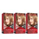 Cor de cabelo Revlon Colorsilk 61 Dark Blonde 130 ml (pacote com 3)