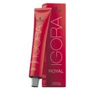 Cor de cabelo Schwarzkopf Igora Royal Copper 9-7 Extra Light Blonde Cor de cabelo Schwarzkopf Igora Royal Copper 9-7 Extra Light Blonde