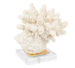 Coral de Mesa Anemona Decorativa Resina Rosê C Base Acrilica