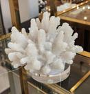 Coral Decorativo Elegante Branco com Base acrilica