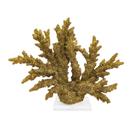 Coral Decorativo Resina Dourado Rico Detalhes Base Cristal