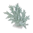 Coral Decorativo Verde c Base Belissimo