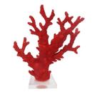 Coral Decorativo Vermelho Algas Base Transp.