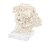 Coral Folha de Alface Decoração de mesa Resina Creme Base