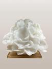 Coral Folha de Alface Decorativo Branco Com Base Acrilica Coral Folha de Alface Decorativo Branco Com Base Acrilica