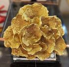 Coral Folha de Alface Dourado Base Acrilica Elegante