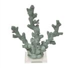 Coral pequeno verde oliva 21x12x15cm