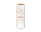 Corante Sintexcor Guarany 40g - Cor 26 Bege para Materiais Acrílicos