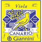 Corda para Viola Giannini GESVB Serie Canario Bolinha ACO Media