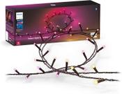 Cordão de luzes Philips Hue Festavia 40 m 500 LEDs coloridos