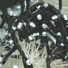 Cordão Luminoso Taschibra 96 LEDs 8F Isol VD - Branco 127V