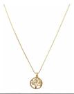 Cordão + Pingente Arvore Da Vida Cravejado - Banhado A Ouro 18k Cordão + Pingente Arvore Da Vida Cravejado - Banhado A Ouro 18k