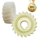 Coroa Z20 Nylon Rev.05 Dente Reto P/ Bv Penta 20 Dentes Ppa
