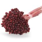 Coroinha Desidratado para Decoração