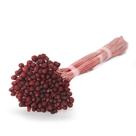 Coroinha Vermelho Desidratado