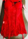 Corpete vermelho Corpete vermelho