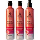 Corpo Dourado Vibes Revitalização - Kit Rosa Mosqueta e Pantenol Trio (3 Produtos)