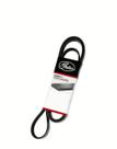 Correia 10PK 1770/5 Gates/Continental - Original