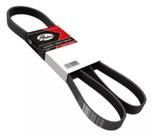Correia 8PK 0955 Gates/Continental - Original