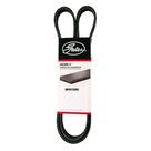 Correia 8PK 1390 Gates/Continental - Original