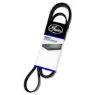 Correia 8PK 1435 Gates/Continental - Original Correia 8PK 1435 Gates/Continental - Original