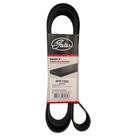 Correia 8PK 1950 Gates/Continental - Original