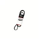 Correia 8PK1270 Gates/Continental - Original