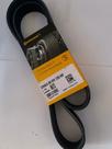 Correia 8pk1293 Man 17230 continental Correia 8pk1293 Man 17230 continental