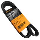 Correia 8pk1680 - continental Correia 8pk1680 - continental