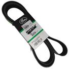 Correia 8pk2295 /2293
