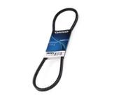 Correia Alt V Trapezoidal BMW Sedan 316l 318l 518l 18i 1.8