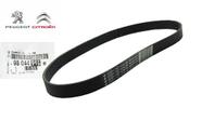 Correia Alternador Sem Ar Condicionado (6PK798) (peugeot Expert 1.6 Turbo ) (citroen Jumpy 1.6 Turbo ) - Original Peugeot