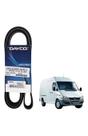 Correia Alternador Sprinter 311/313/413 Cdi Até 2011 Dayco