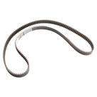 Correia Cielo 1.6 16v 2010 2011 2012 - 173 Dentes