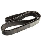 Correia - Continental - 10PK1810RNH
