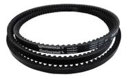 Correia continental bx46