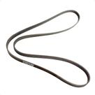Correia De Acessórios 1642mm 21mm Contitech / Serie 1 / A6 Correia De Acessórios 1642mm 21mm Contitech / Serie 1 / A6