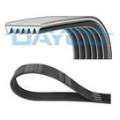 Correia De Acessórios Polyv 1650mm Dayco - / Hr - 7PK1650S
